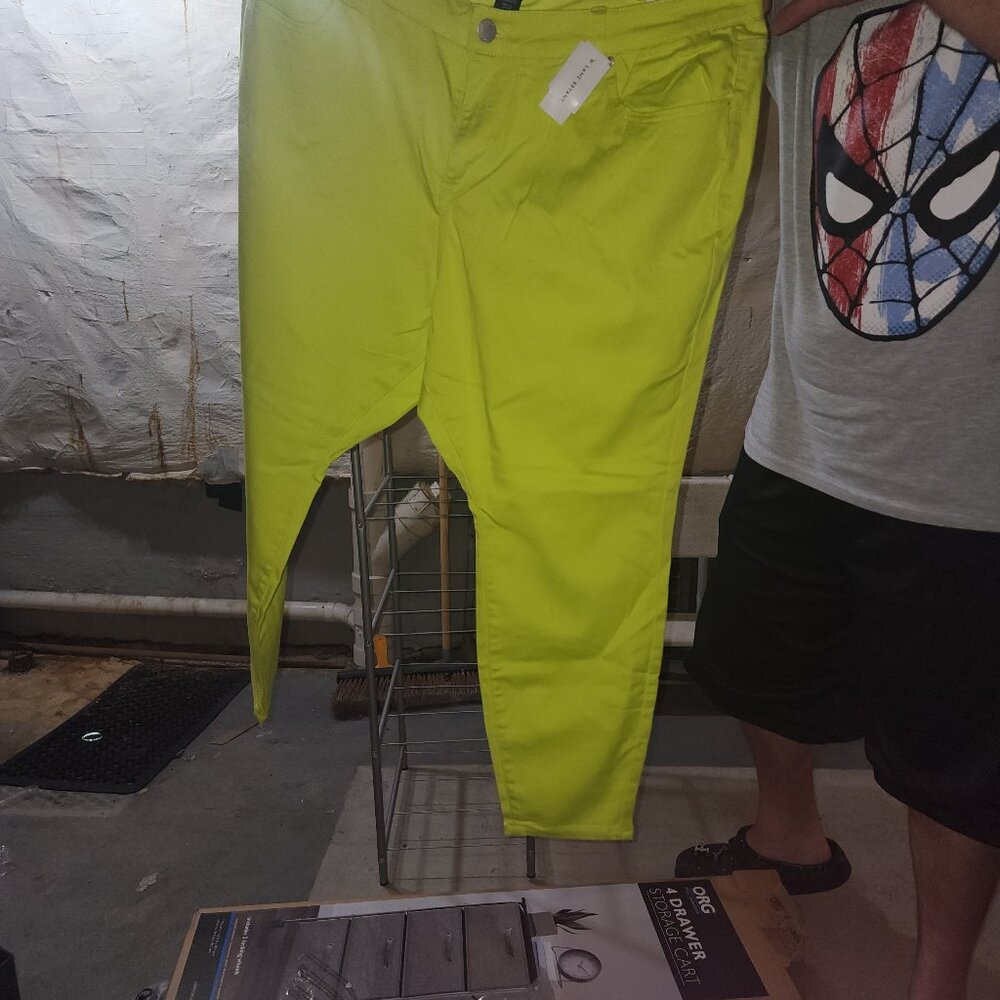 Lanebryant pants size 24